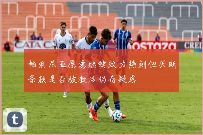 帕利尼亚愿意继续效力热刺但买断条款是否被激活仍存疑虑